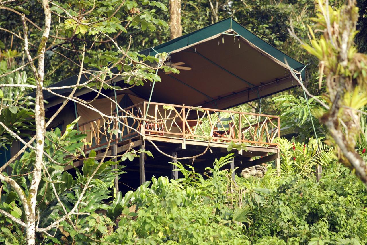Rafiki Safari Lodge Savegre Rom bilde